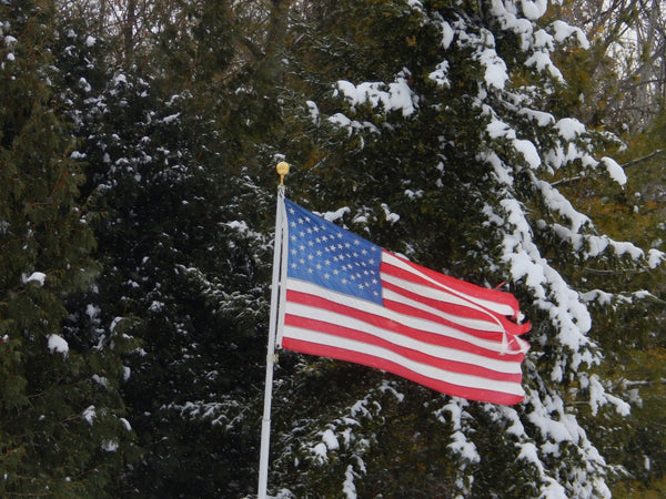 american flag in winter