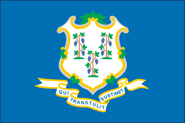 connecticut flag, flag of connecticut