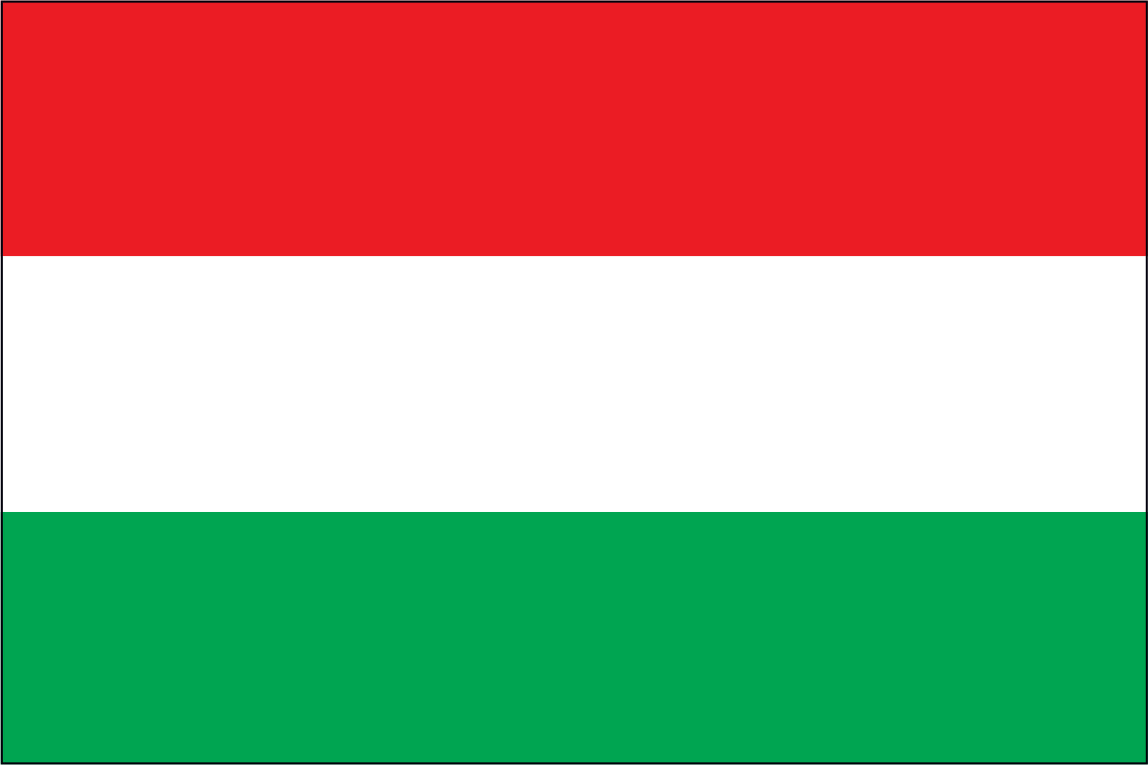 Hungary Flag