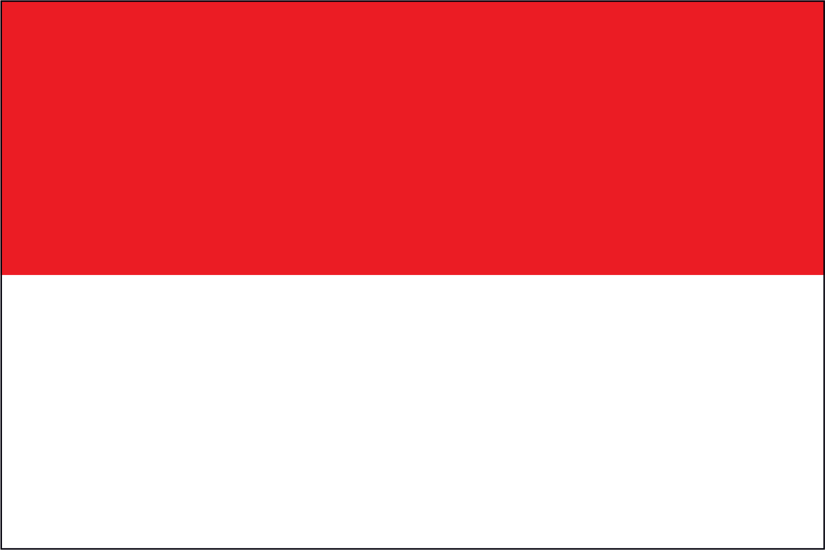 Indonesia Flag