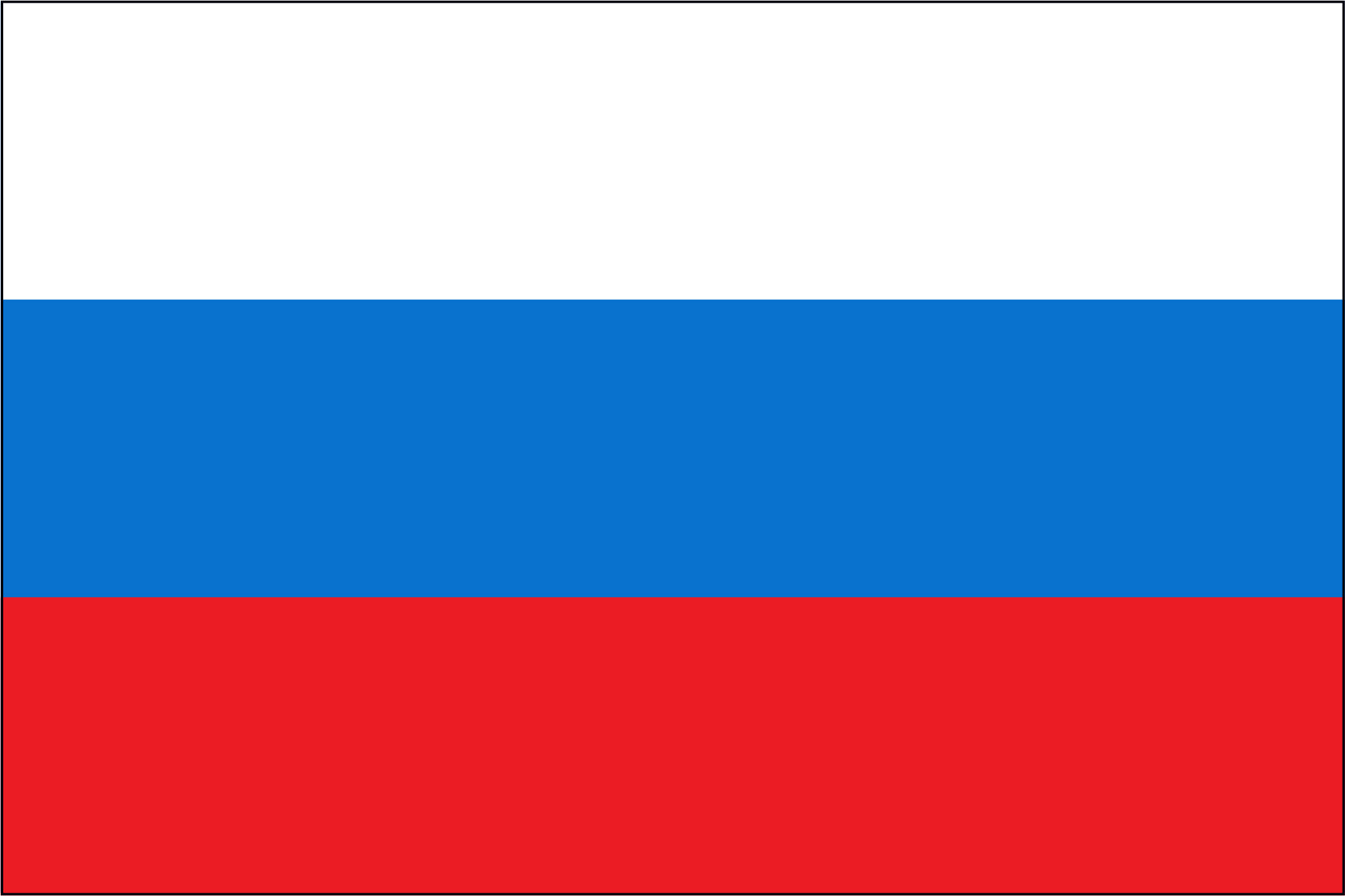 Russian Republic Miniature Flag 4