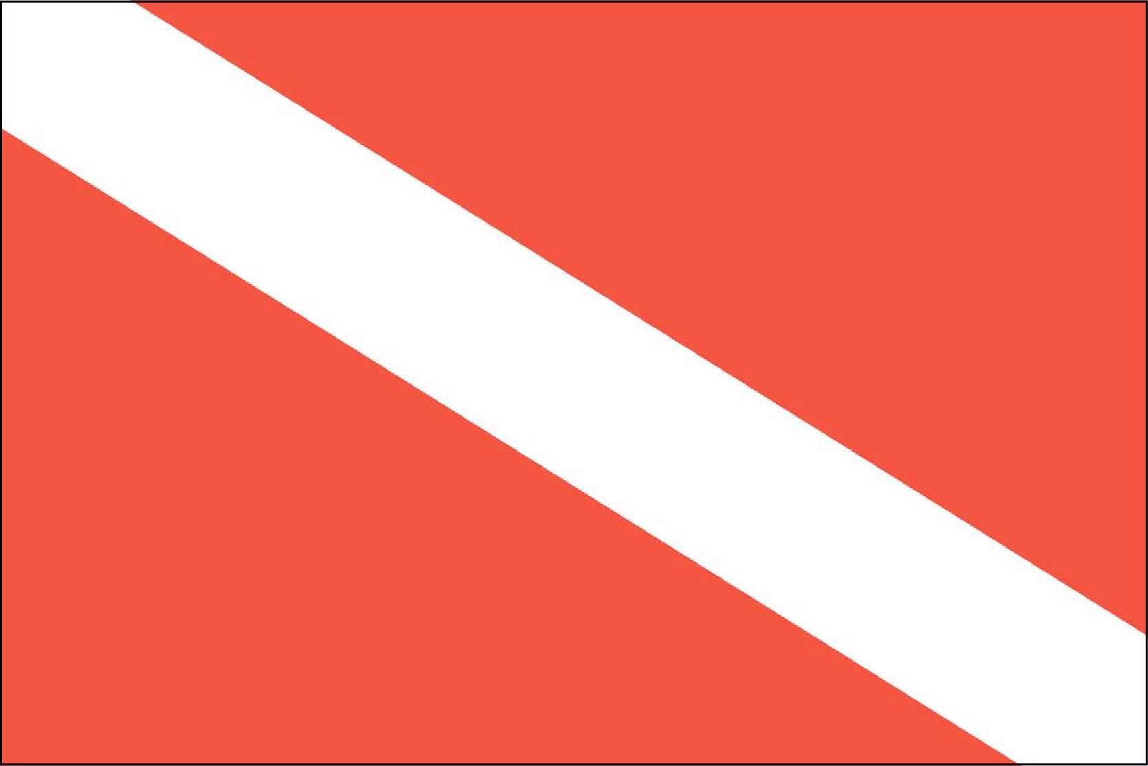 Skin Diver's Flag 12