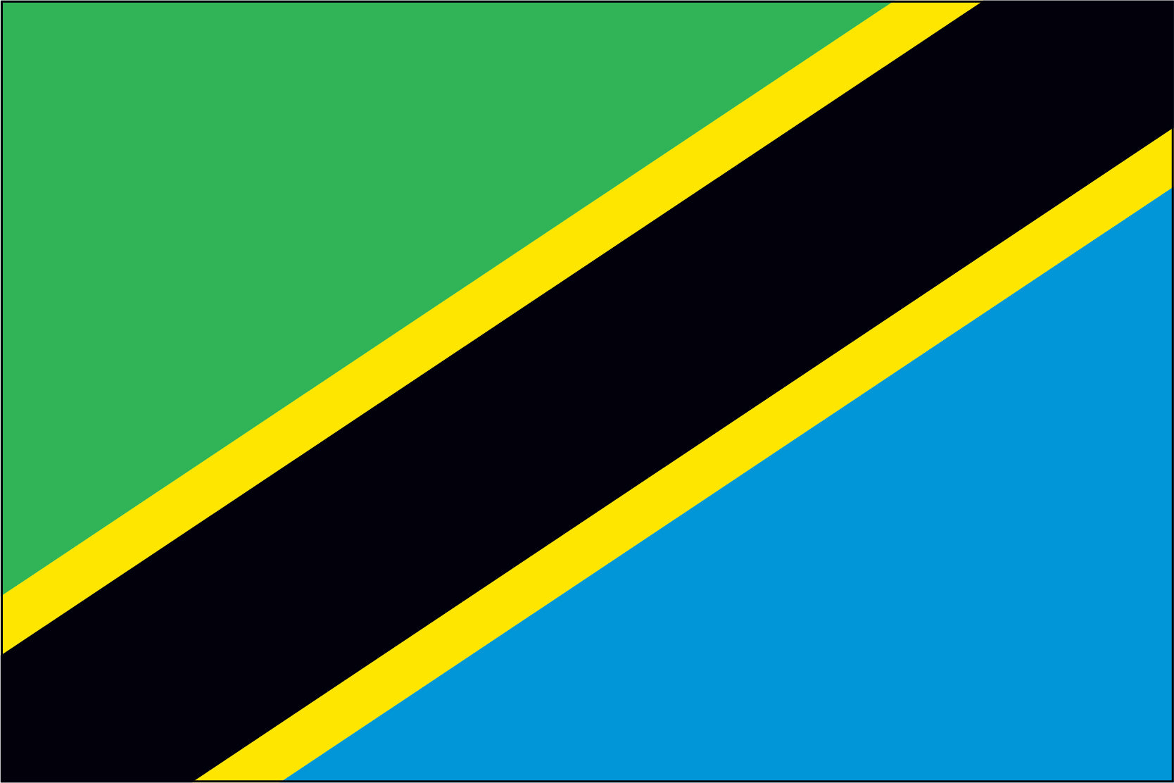 Tanzania Flag