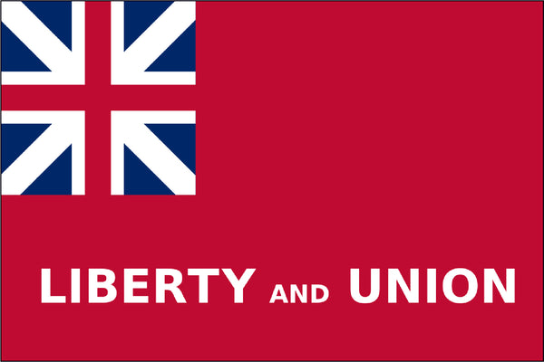 Taunton 3' x 5' Flag