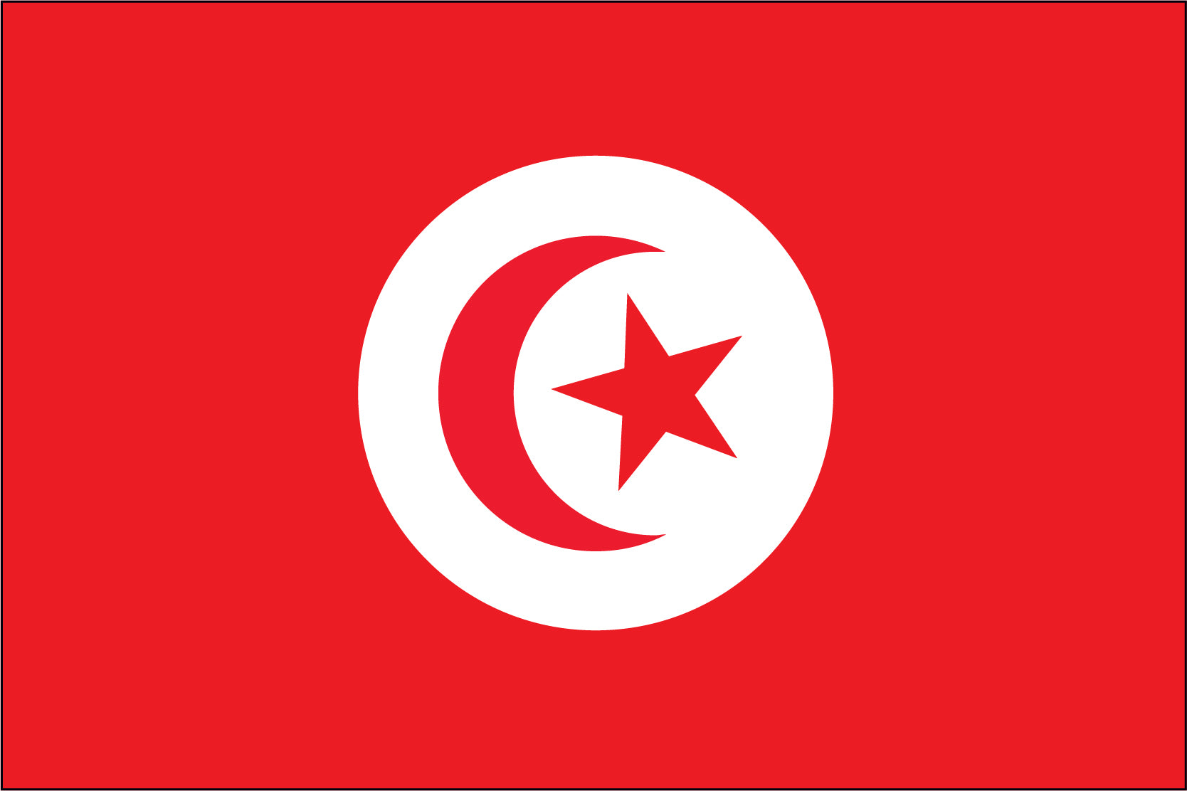 Tunisia Miniature Flag 4